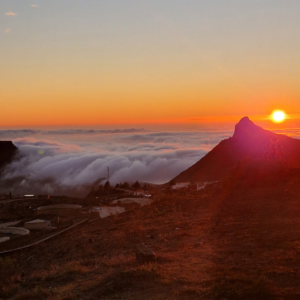 Sünnitusjärgne plaan PREMIUM 🇪🇪 🇬🇧