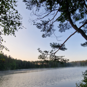 Sünnitusjärgne plaan MINI 🇪🇪 🇬🇧