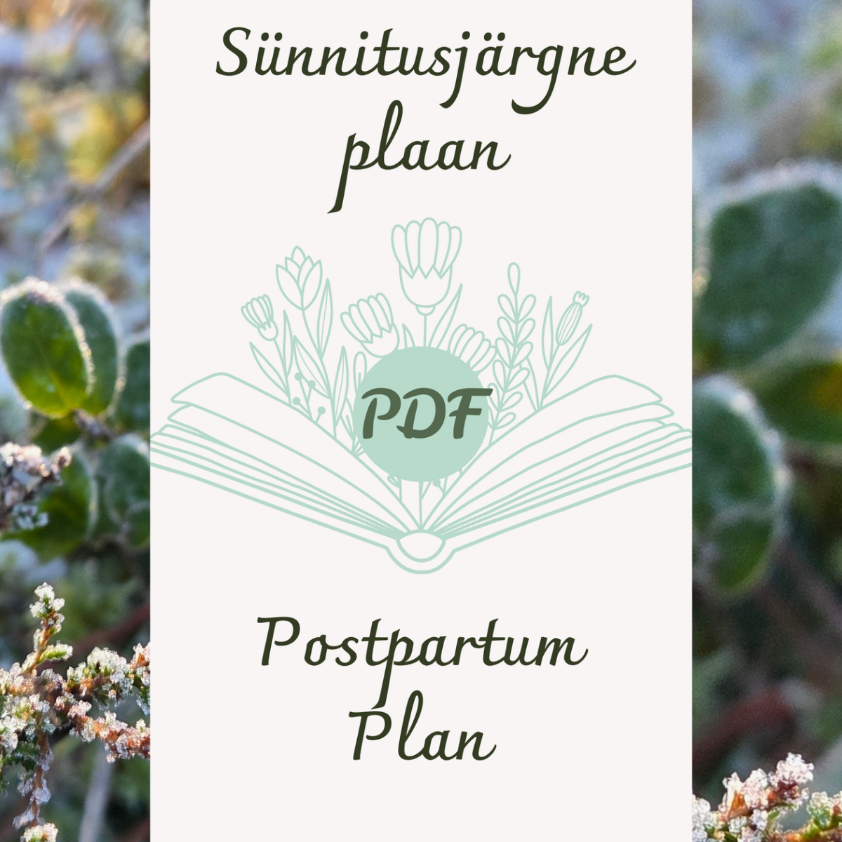 Sünnitusjärgne plaan PDF 🇪🇪 🇬🇧